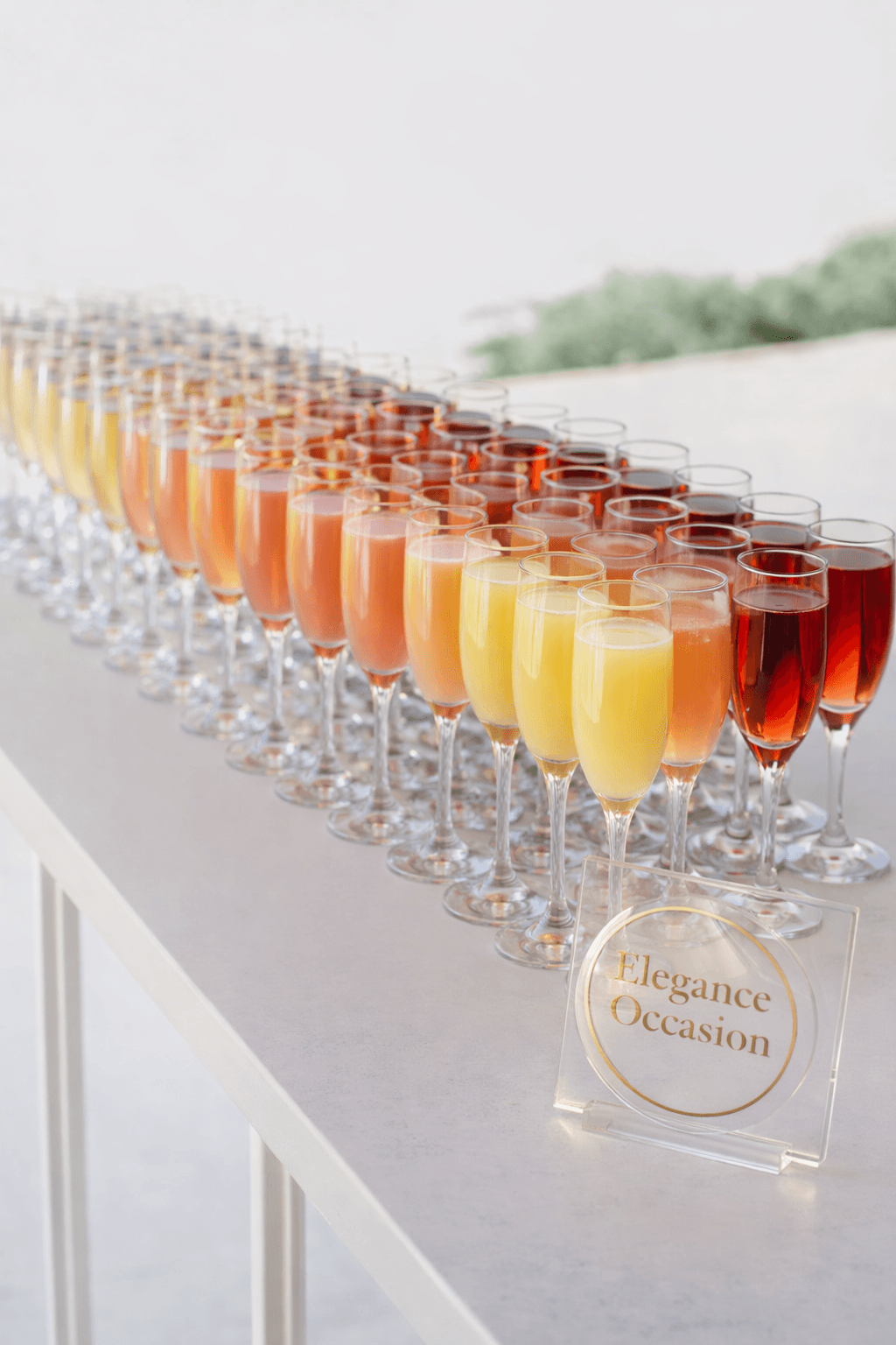 Welcome Drinks